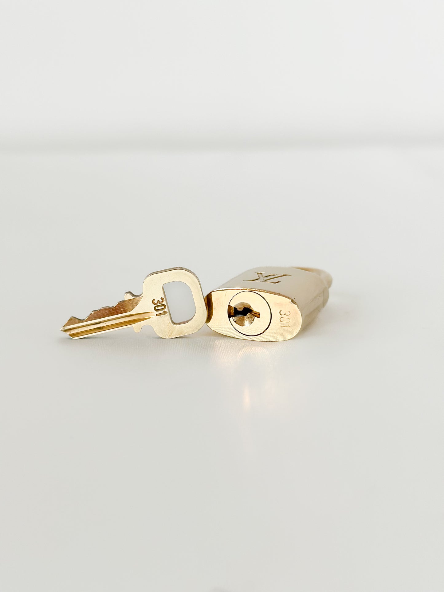 Louis Vuitton Padlock 301