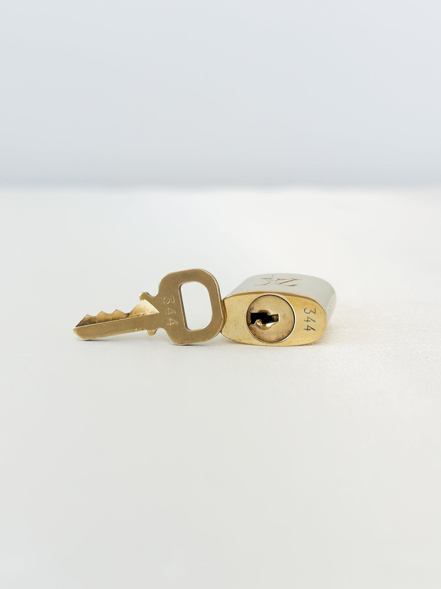 Louis Vuitton Padlock 344