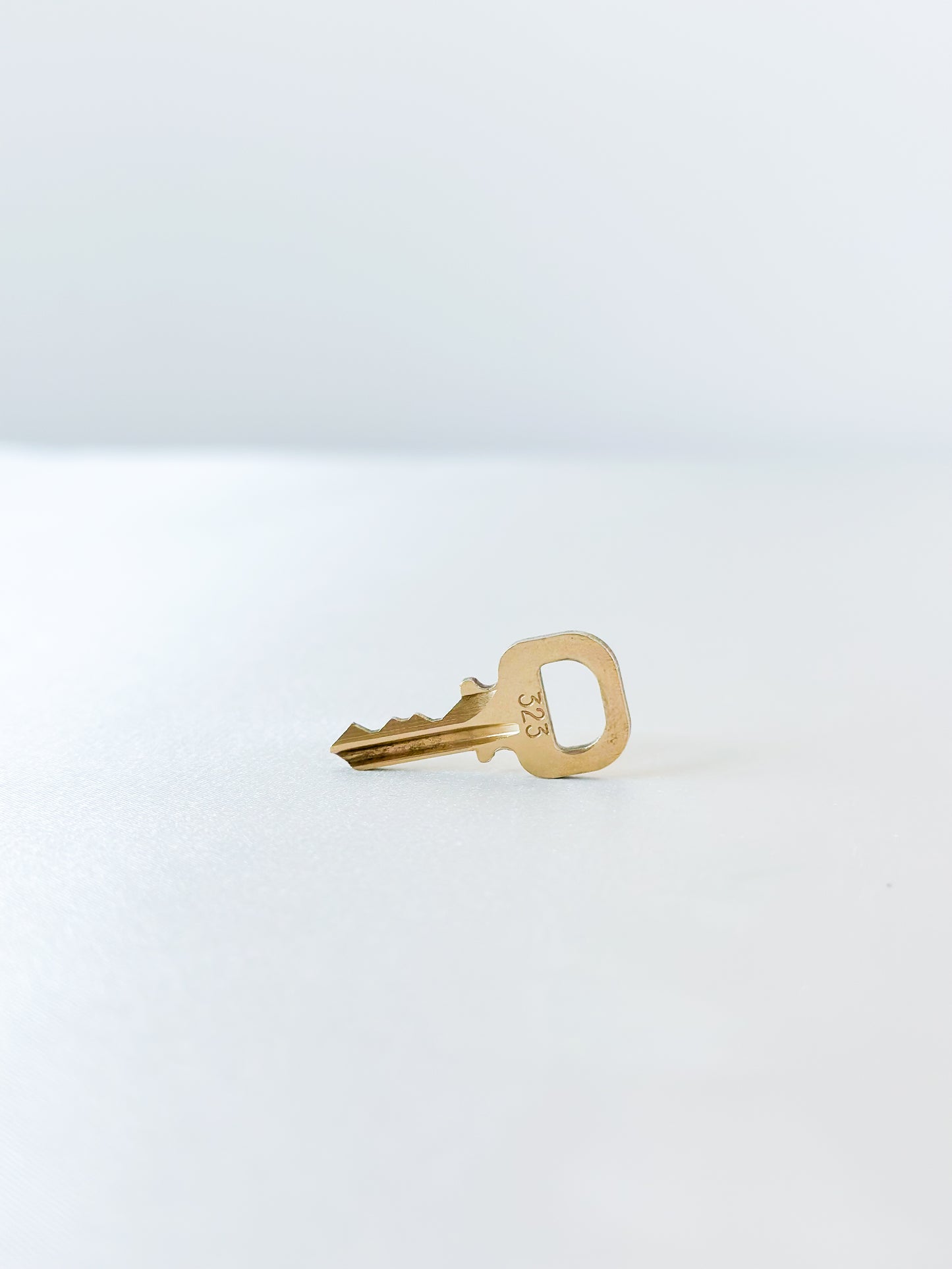 Louis Vuitton Padlock Key 323