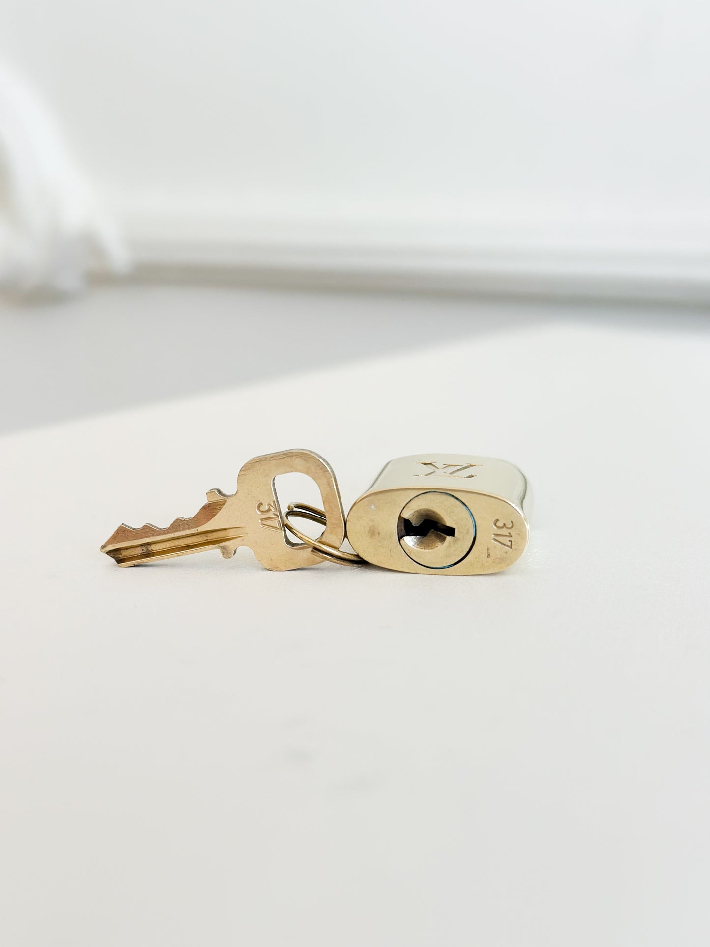 Louis Vuitton Padlock 317