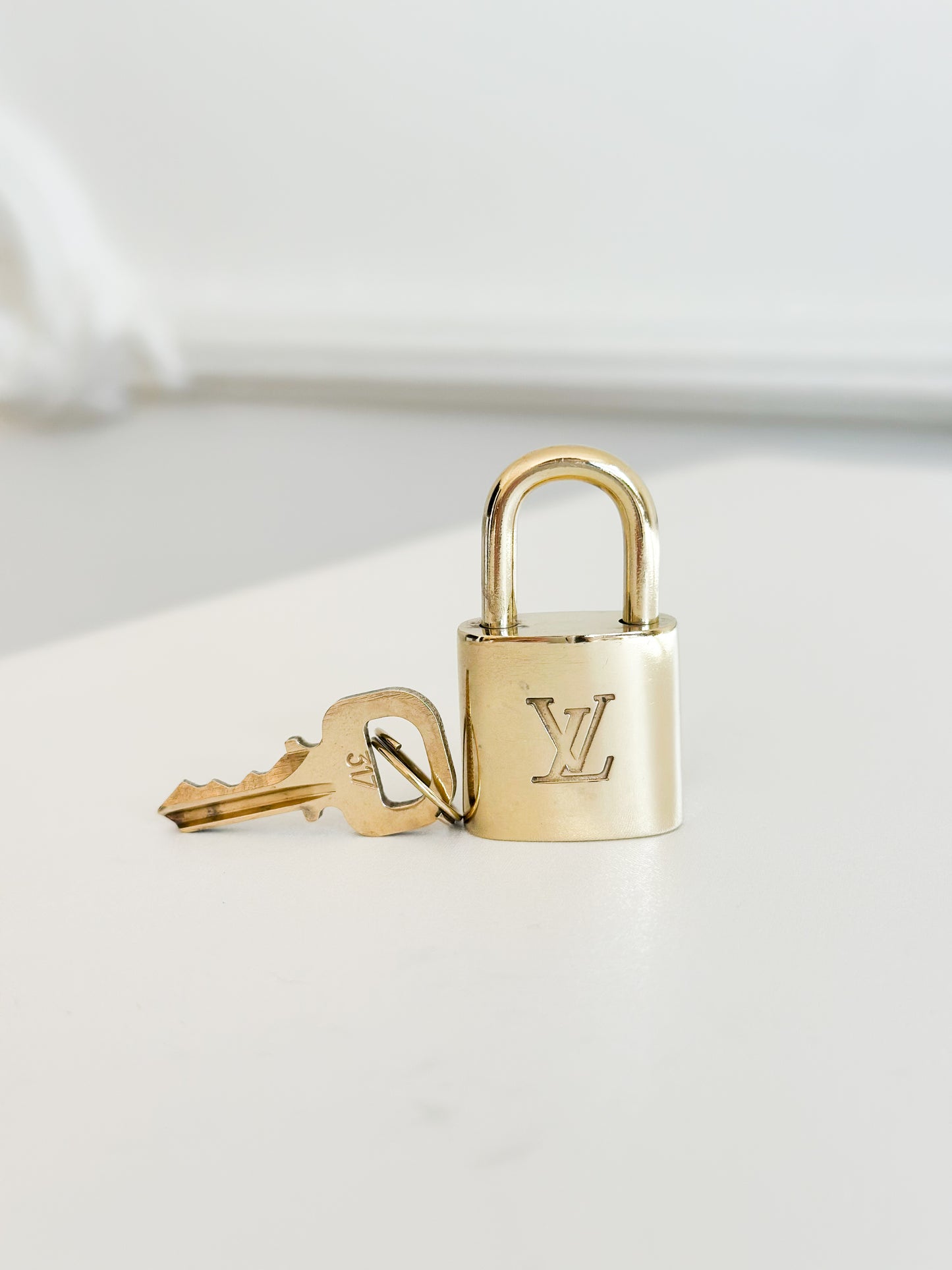 Louis Vuitton Padlock 317