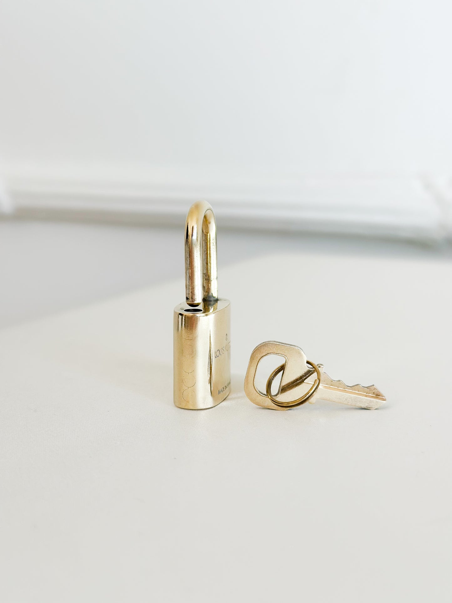 Louis Vuitton Padlock 317