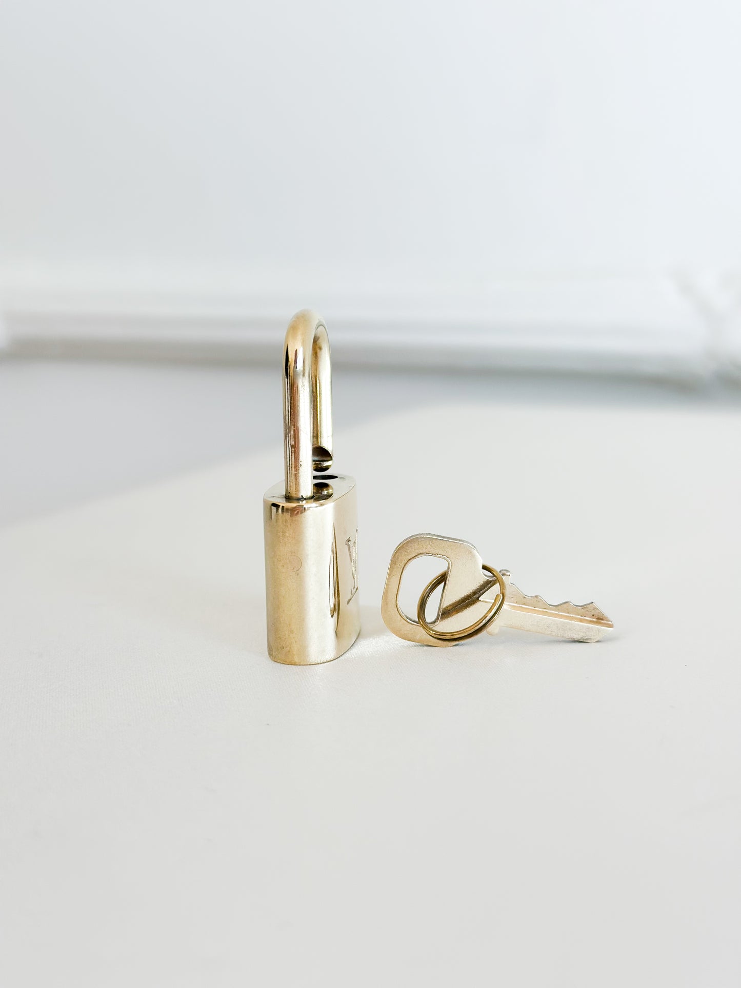 Louis Vuitton Padlock 317