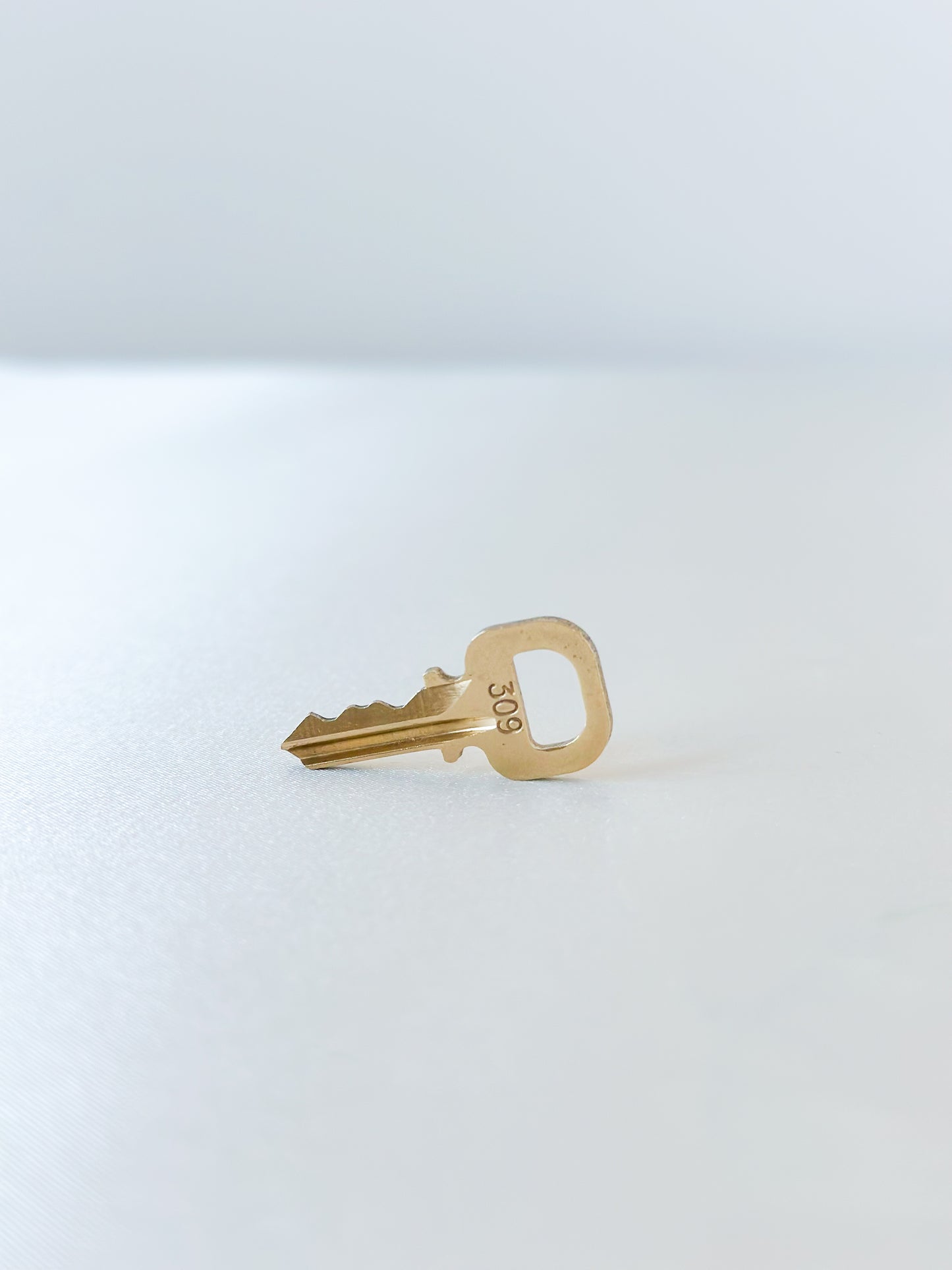 Louis Vuitton Padlock Key 309